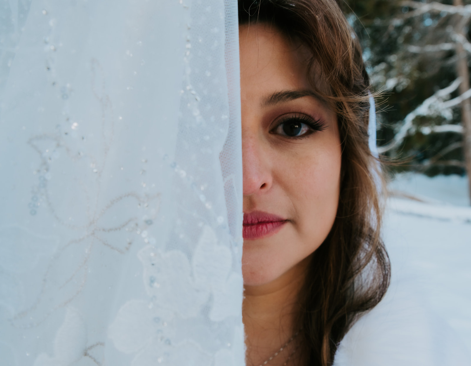 Close-up portrait of the bride’s face partially framed by her lace veil, snow-covered trees softly blurred in the background.