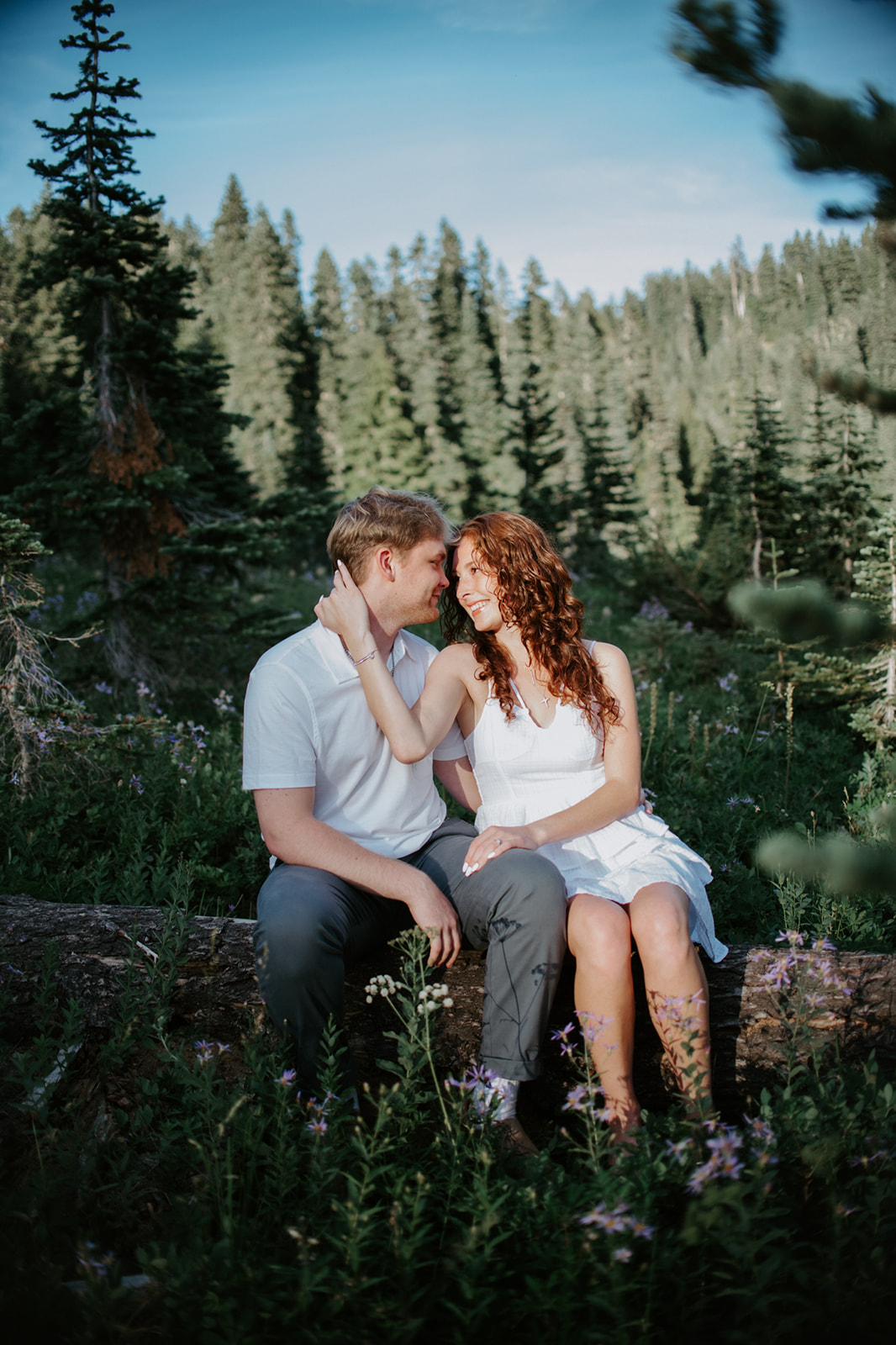 Couple eloping in Washington sitting together on a fallen log surrounded by alpine wildflowers and evergreen forest.