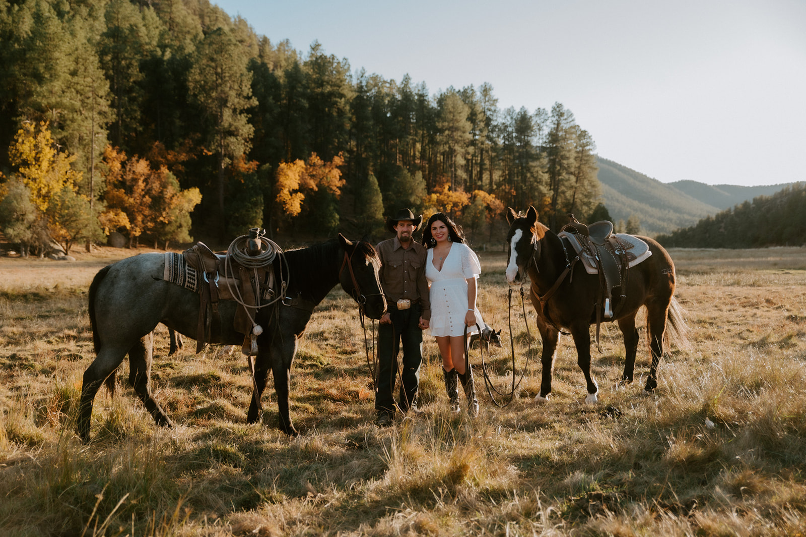Couple posing with saddled horses in a mountain meadow, showing a coordinated approach to what to wear for engagement photos.